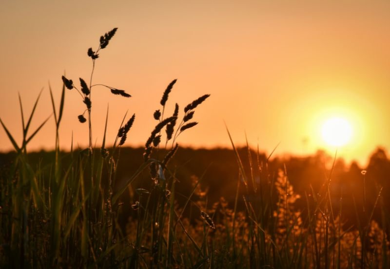 Untitled design - 2025-08-29T154556.485