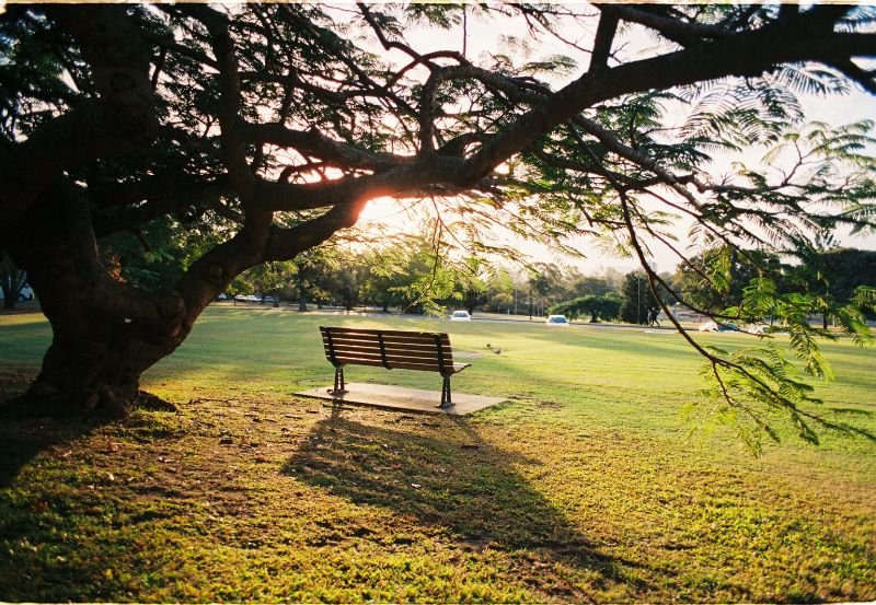 Untitled design - 2025-08-29T155735.640